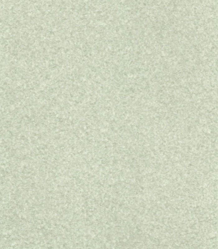 MASLINA